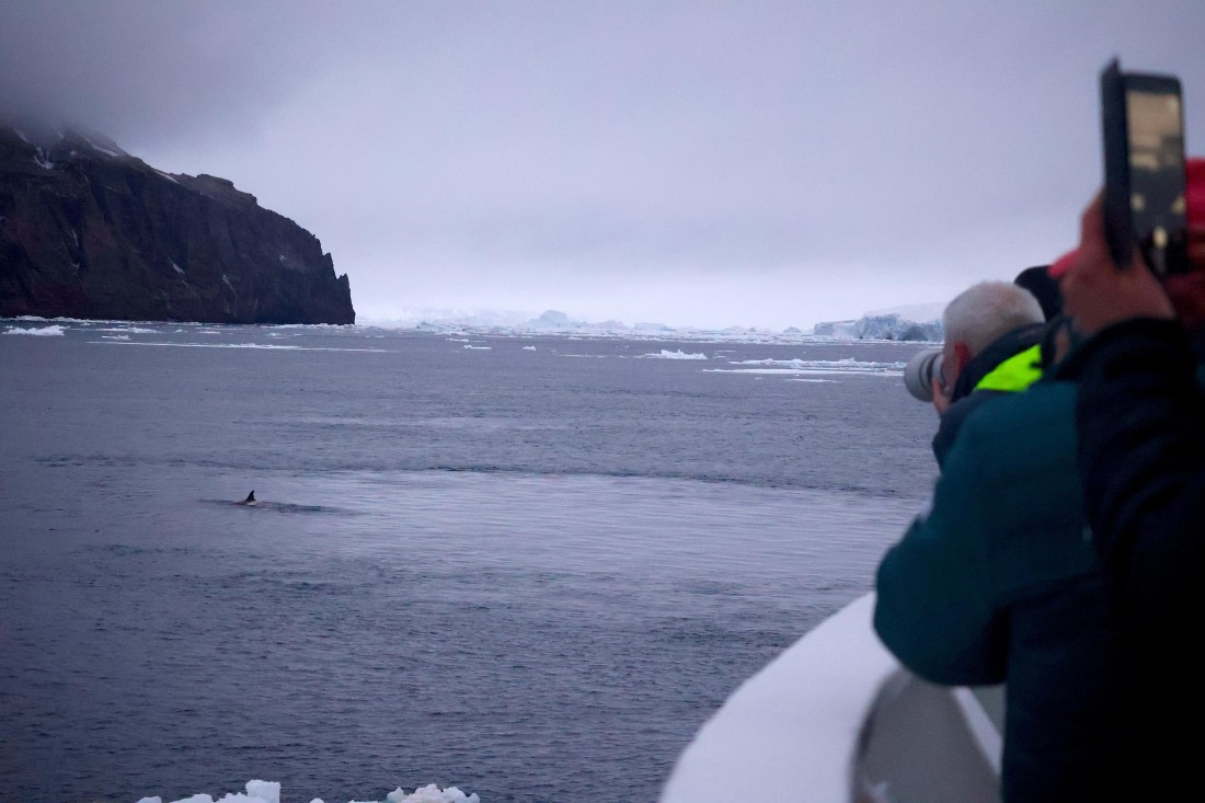 OTL24-25, Day 6, IMG_8172.JPG © Beth Hitchcock - Oceanwide Expeditions.JPG