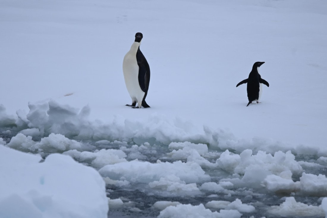 OTL24-25, Day 6, SAS_4586.JPG © Saskia van der Meij - Oceanwide Expeditions.JPG