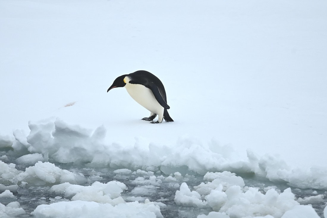 OTL24-25, Day 6, SAS_4594.JPG © Saskia van der Meij - Oceanwide Expeditions.JPG