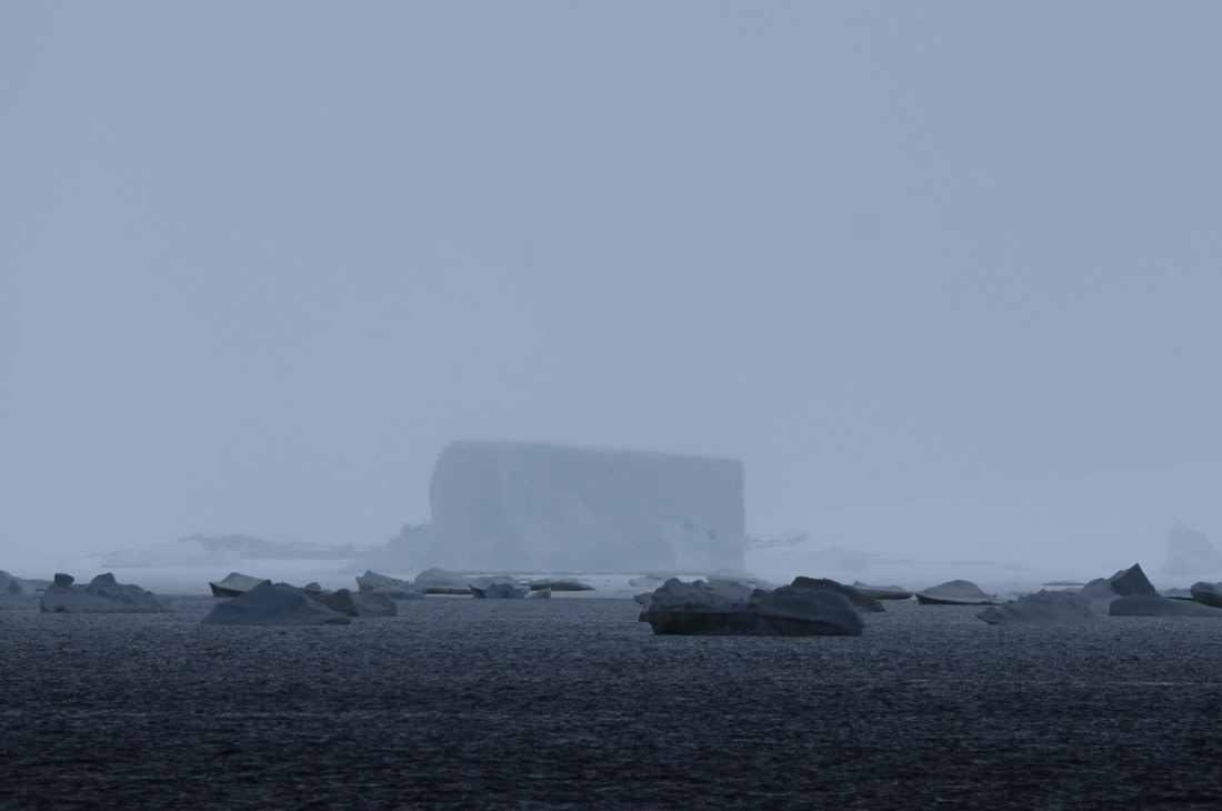 OTL24-25, Day 6, SAS_4618.JPG © Saskia van der Meij - Oceanwide Expeditions.JPG