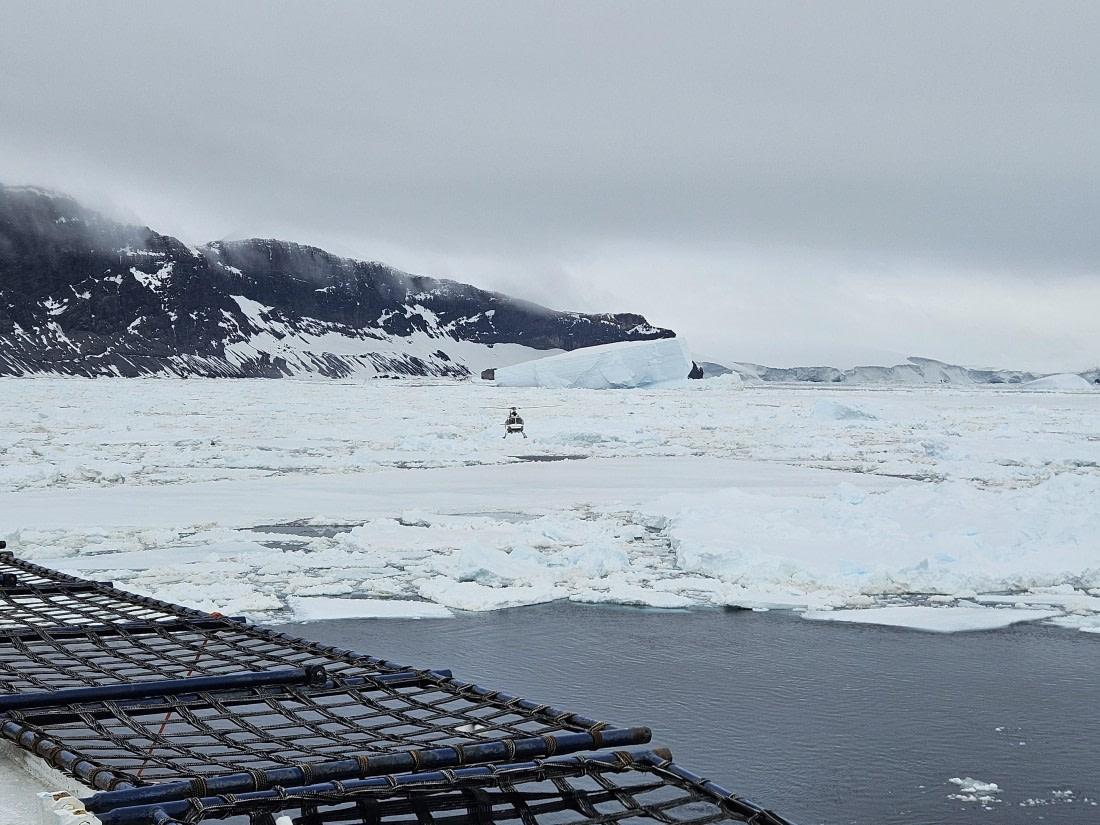 OTL24-25, Day 7, 20251207_085926.jpg © Saskia van der Meij - Oceanwide Expeditions.jpg