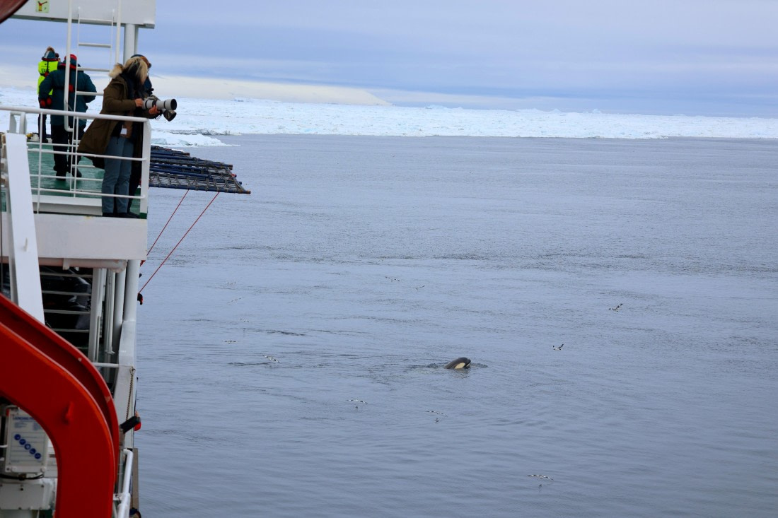 OTL24-25, Day 7, IMG_8305.JPG © Beth Hitchcock - Oceanwide Expeditions.JPG