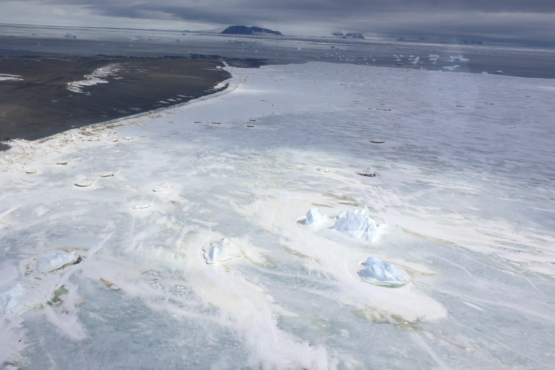 OTL24-25, Day 7, IMG_8375.JPG © Beth Hitchcock - Oceanwide Expeditions.JPG