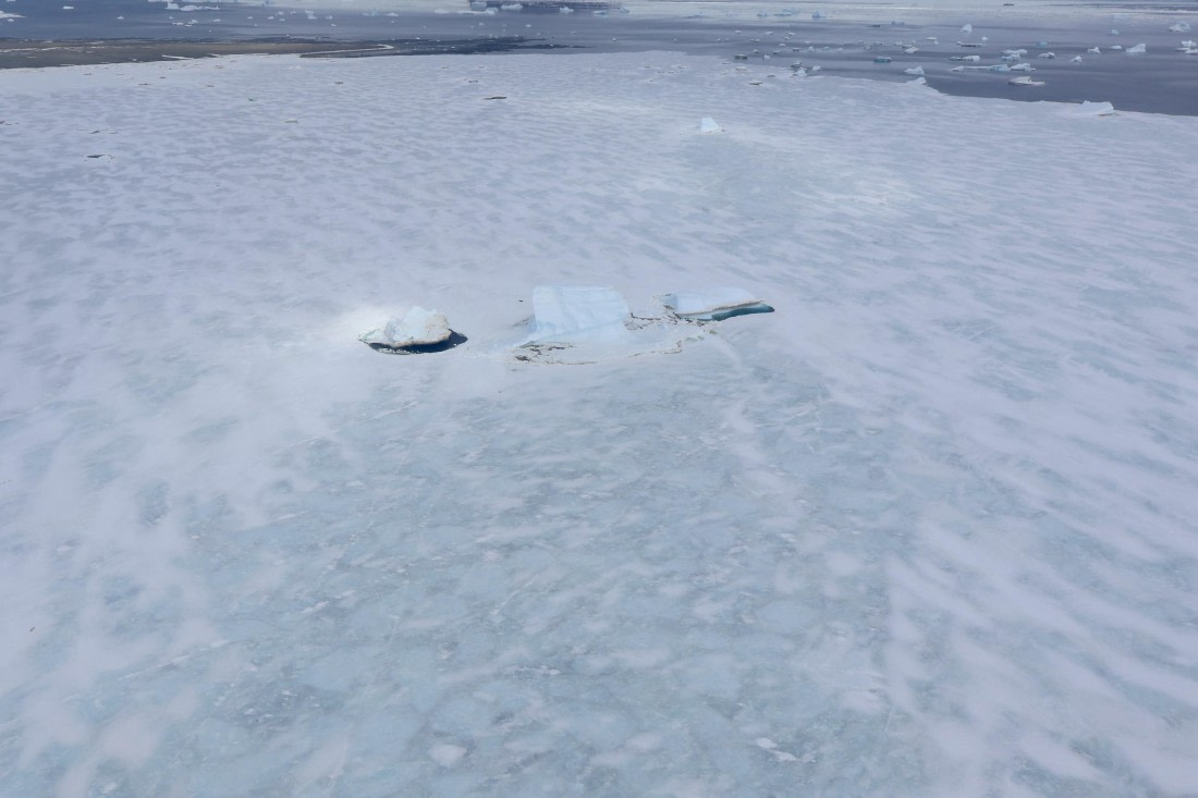 OTL24-25, Day 7, IMG_8380.JPG © Beth Hitchcock - Oceanwide Expeditions.JPG