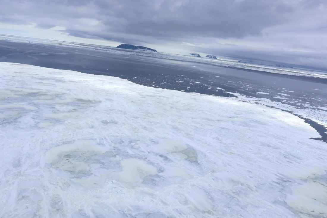 OTL24-25, Day 7, IMG_8384.JPG © Beth Hitchcock - Oceanwide Expeditions.JPG