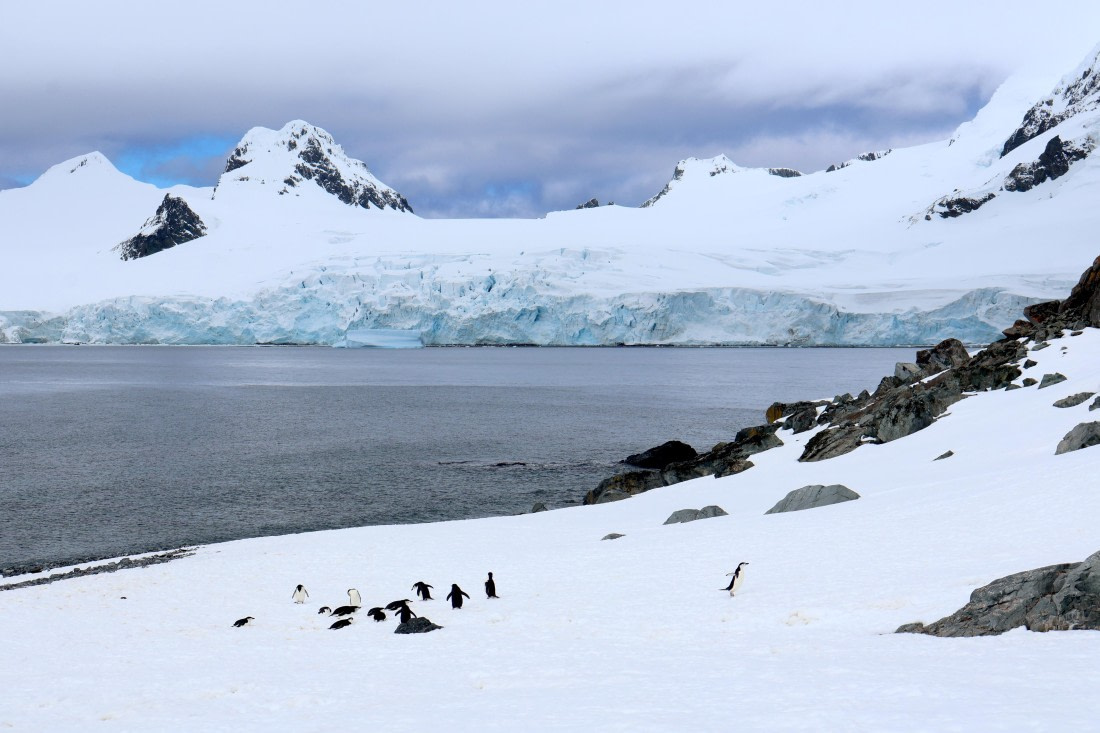 OTL24-25, Day 8, IMG_8427.JPG © Beth Hitchcock - Oceanwide Expeditions.JPG