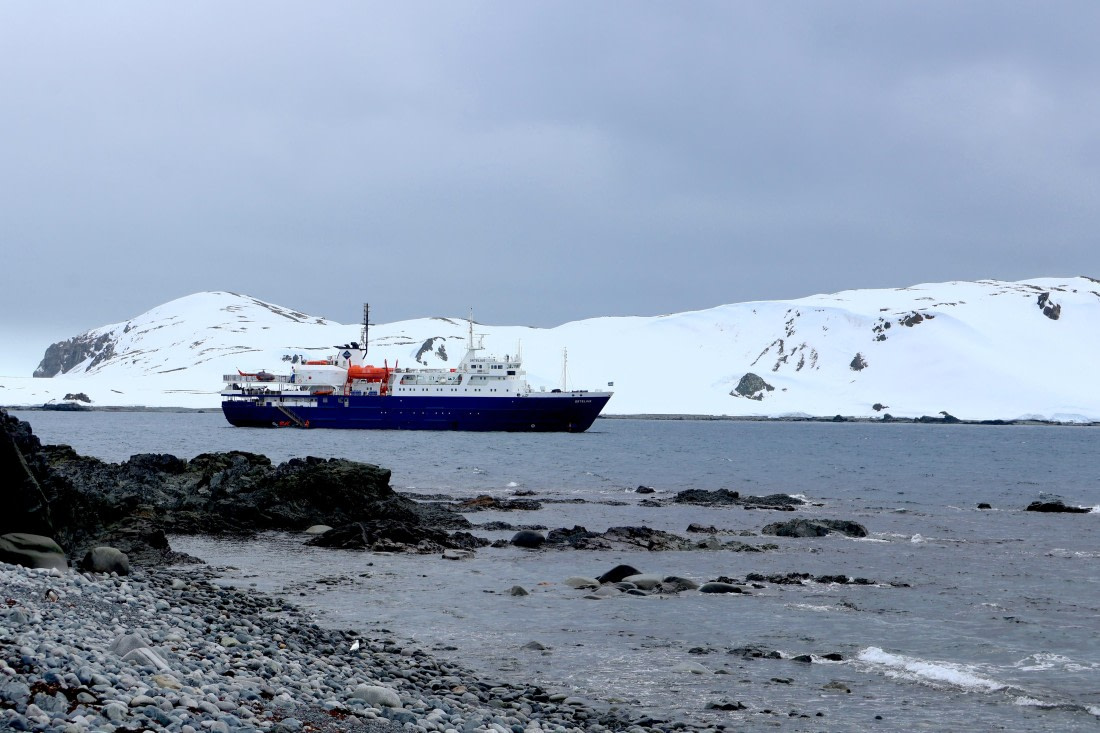 OTL24-25, Day 8, IMG_8453.JPG © Beth Hitchcock - Oceanwide Expeditions.JPG