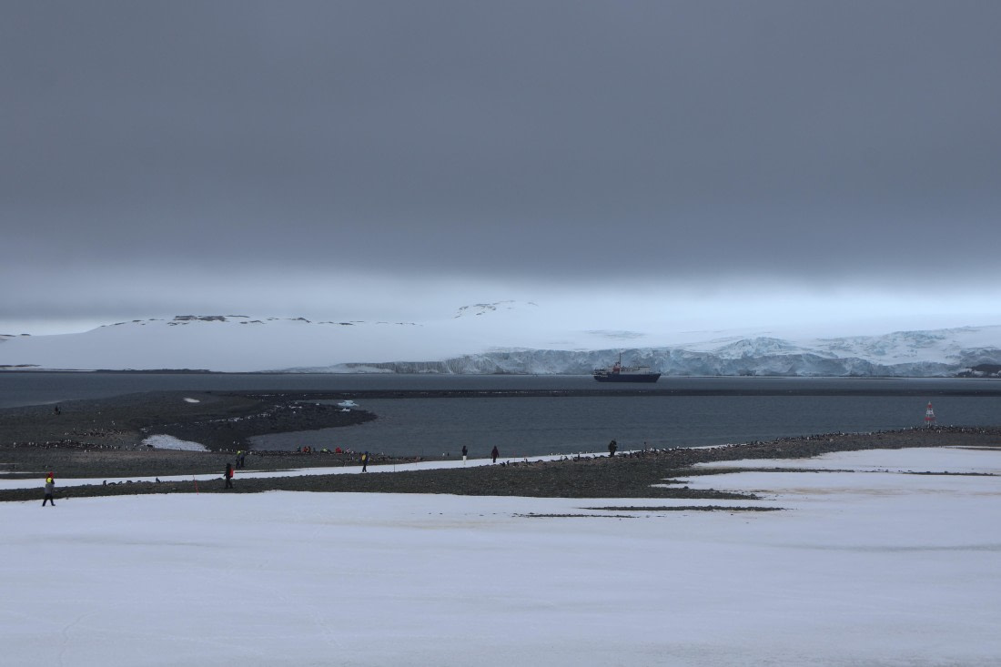 OTL24-25, Day 8, IMG_8472.JPG © Beth Hitchcock - Oceanwide Expeditions.JPG