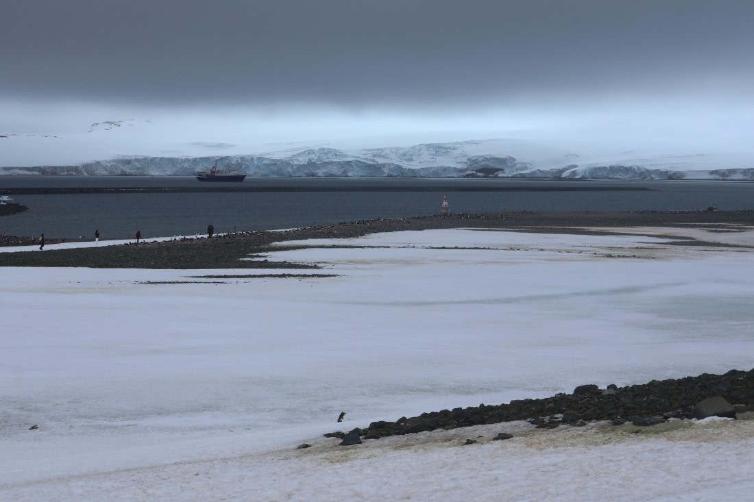 OTL24-25, Day 8, IMG_8473.JPG © Beth Hitchcock - Oceanwide Expeditions.JPG