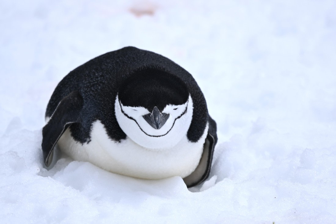 OTL24-25, Day 8, SAS_4884.JPG © Saskia van der Meij - Oceanwide Expeditions.JPG