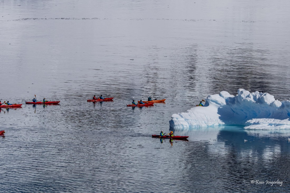 HDS24-25, Day 4, 5D5A0134 © Koen Jongerling - Oceanwide Expeditions.jpg