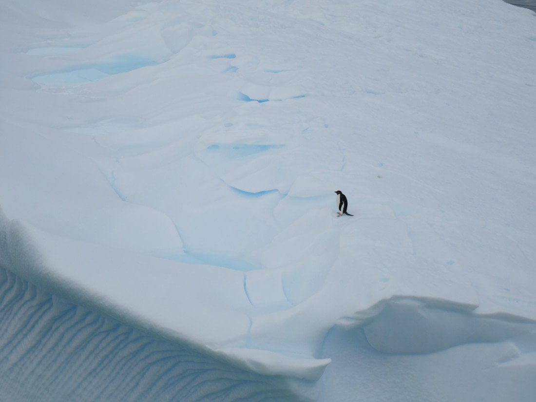 HDS24-25, Day 4, P1022998 © Unknown photographer - Oceanwide Expeditions.JPG