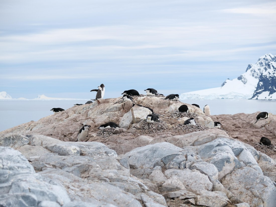 HDS24-25, Day 4, P1023024 © Unknown photographer - Oceanwide Expeditions.JPG
