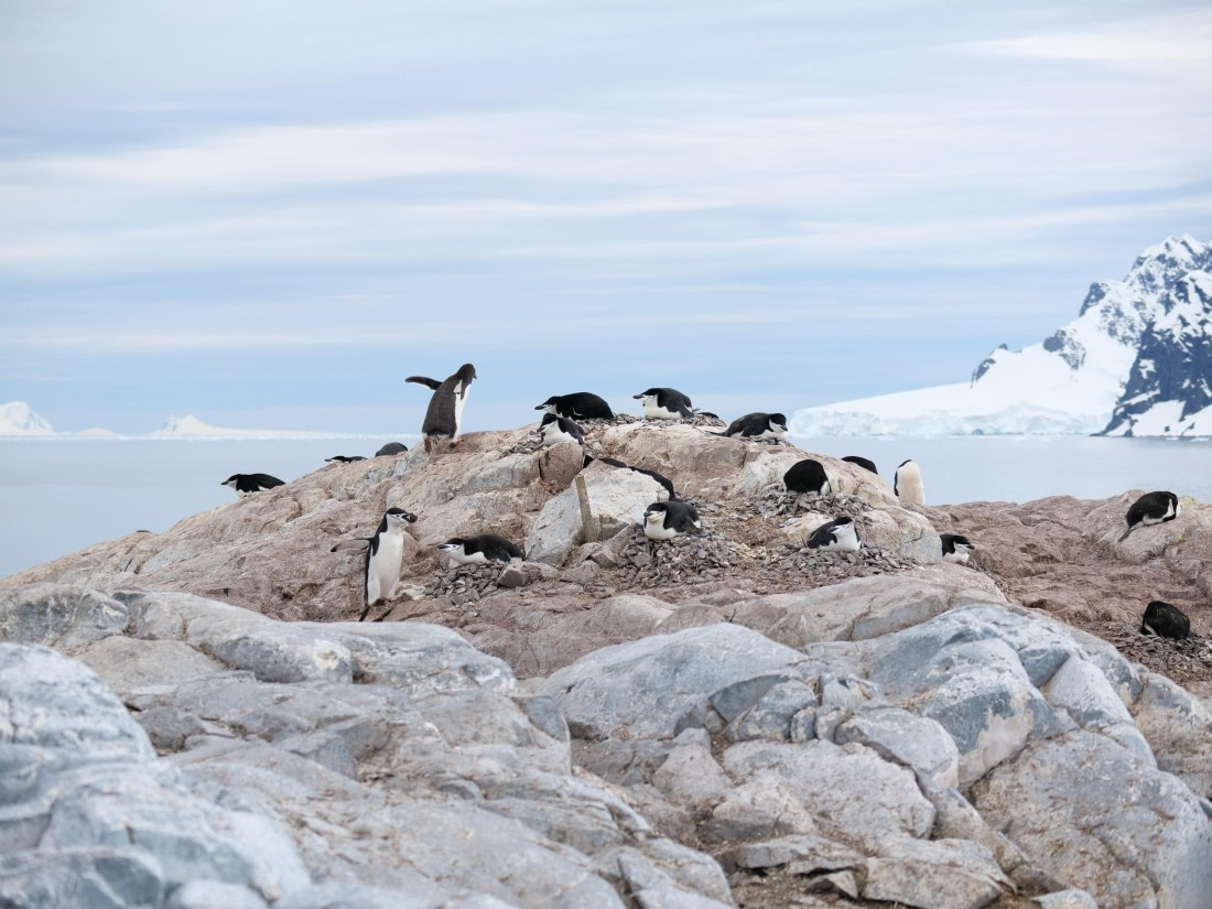 HDS24-25, Day 4, P1023025 © Unknown photographer - Oceanwide Expeditions.JPG