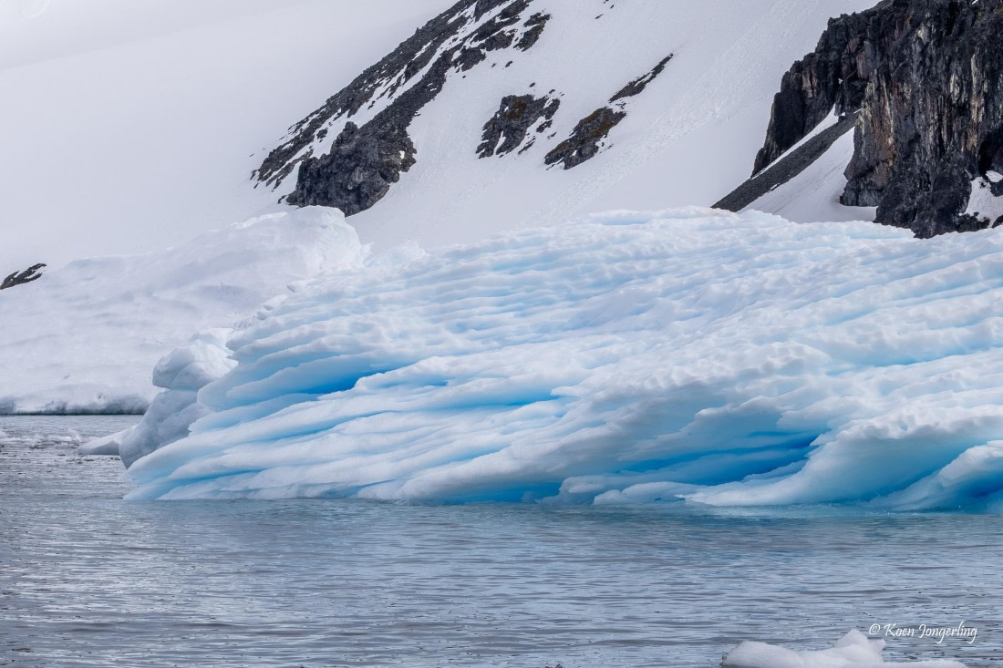 HDS24-25, Day 5, 5D5A0252 © Koen Jongerling - Oceanwide Expeditions.jpg