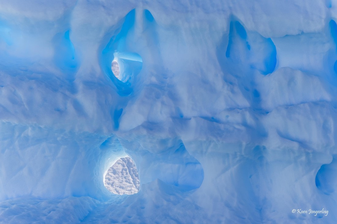 HDS24-25, Day 6, 5D5A0319 © Koen Jongerling - Oceanwide Expeditions.jpg