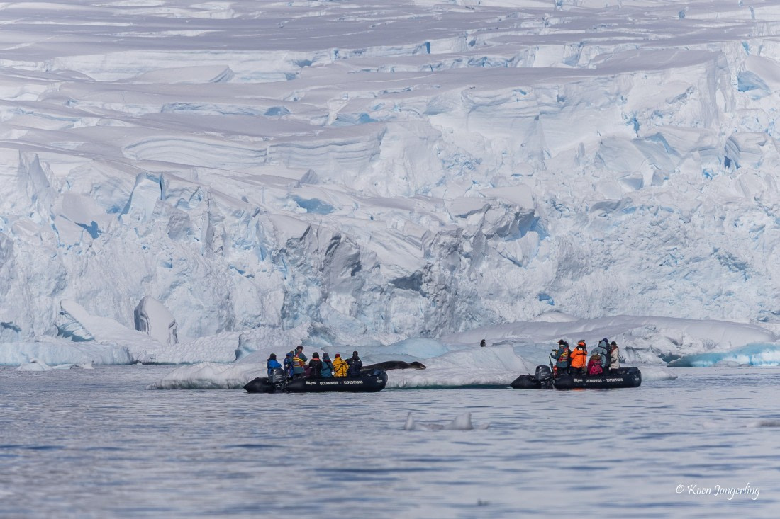 HDS24-25, Day 6, 5D5A0418 © Koen Jongerling - Oceanwide Expeditions.jpg