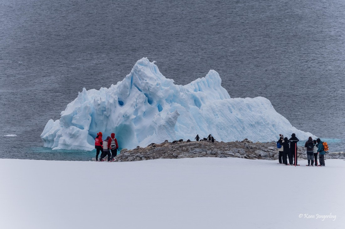 HDS24-25, Day 7, 5D5A0464 © Koen Jongerling - Oceanwide Expeditions.jpg