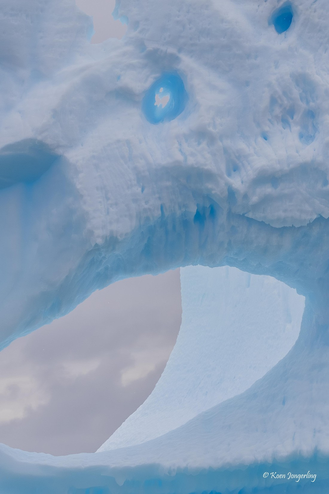 HDS24-25, Day 8, 5D5A0492 © Koen Jongerling - Oceanwide Expeditions.jpg