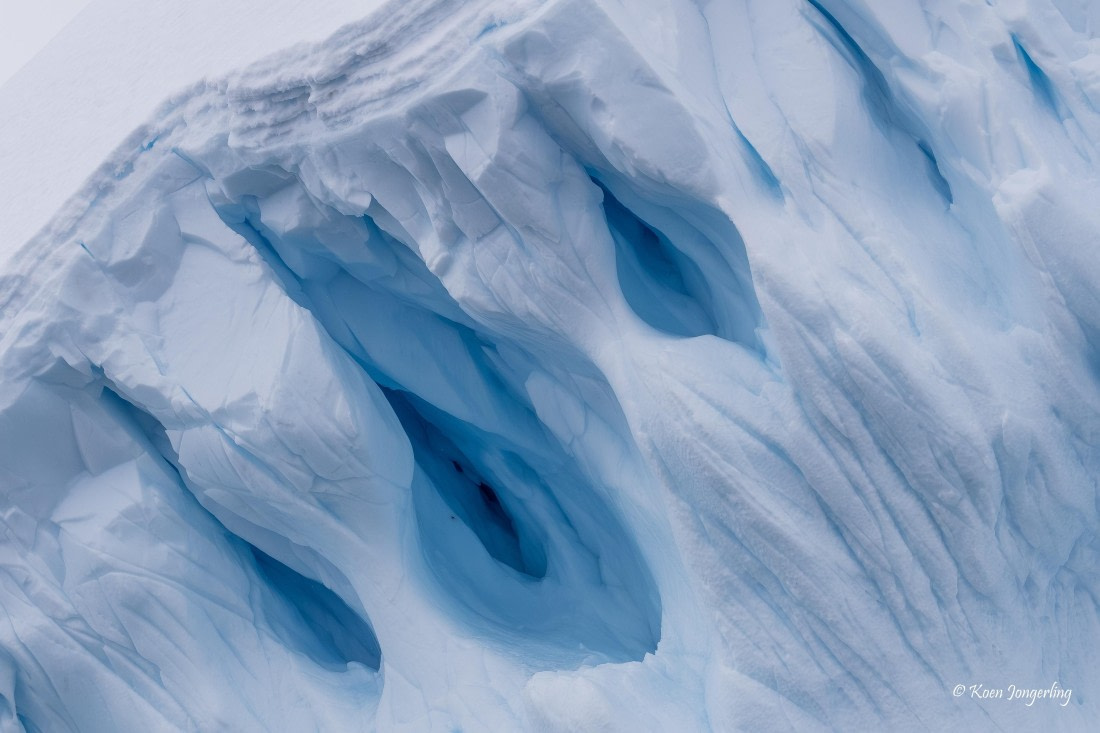 HDS24-25, Day 8, 5D5A0542 © Koen Jongerling - Oceanwide Expeditions.jpg