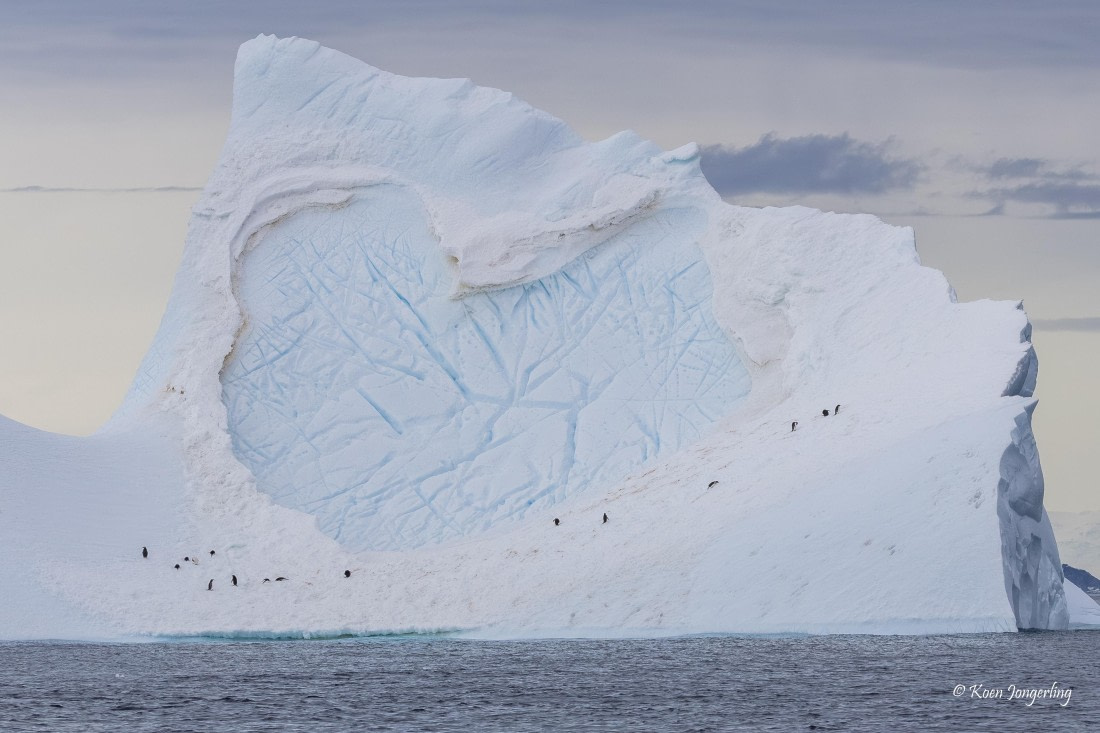 HDS24-25, Day 9, 5D5A0564 © Koen Jongerling - Oceanwide Expeditions.jpg