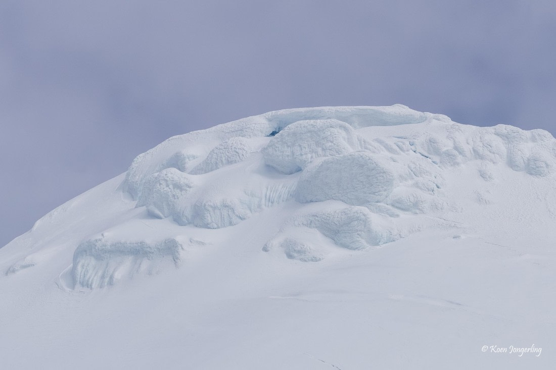 HDS24-25, Day 9, 5D5A0599 © Koen Jongerling - Oceanwide Expeditions.jpg