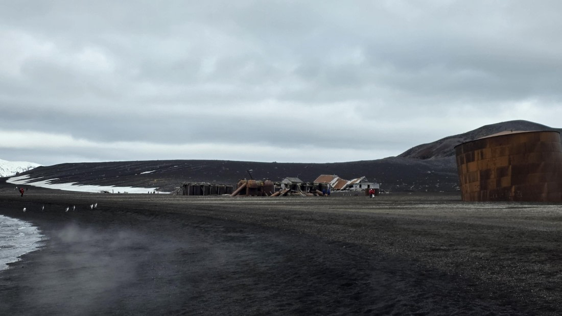 HDS24-25, Day 10, 20251218_092556 © Unknown photographer - Oceanwide Expeditions.jpg