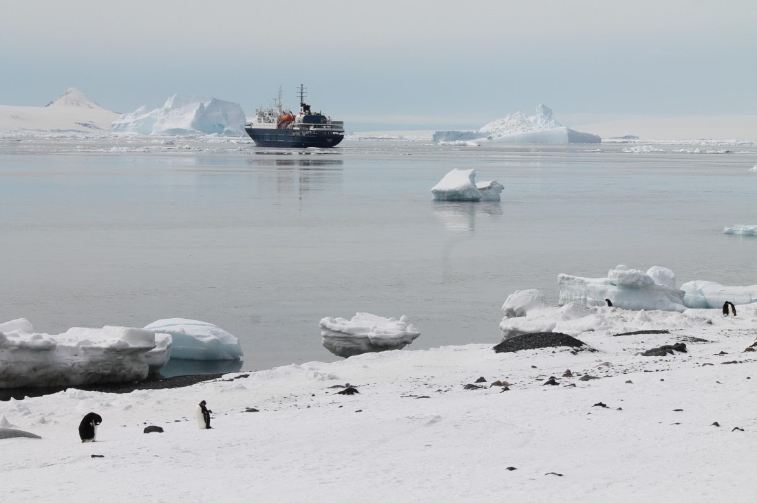 Antarctic Sound view from Brown Bluff