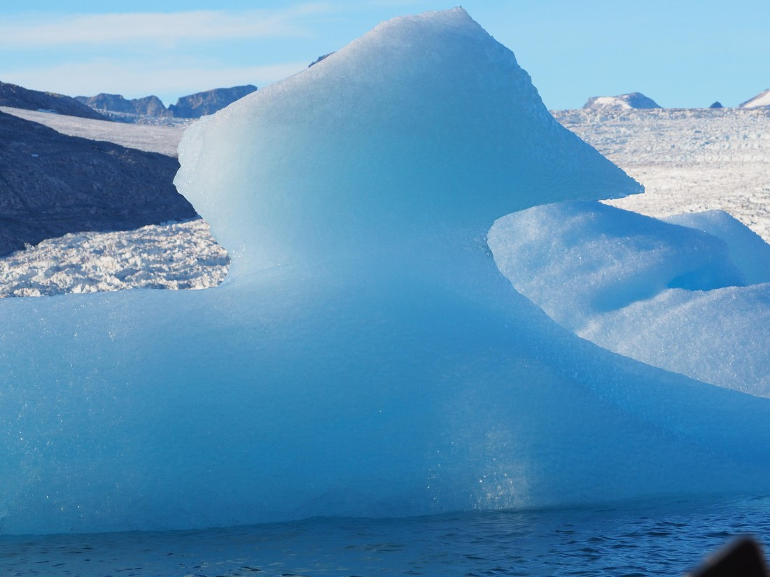 Duck iceberg