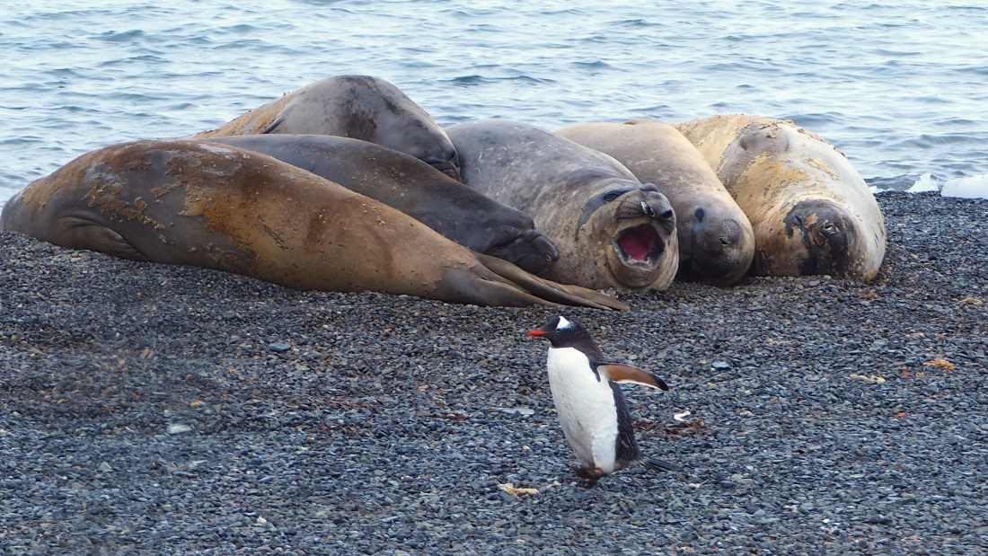 Do not show at me. I am so small