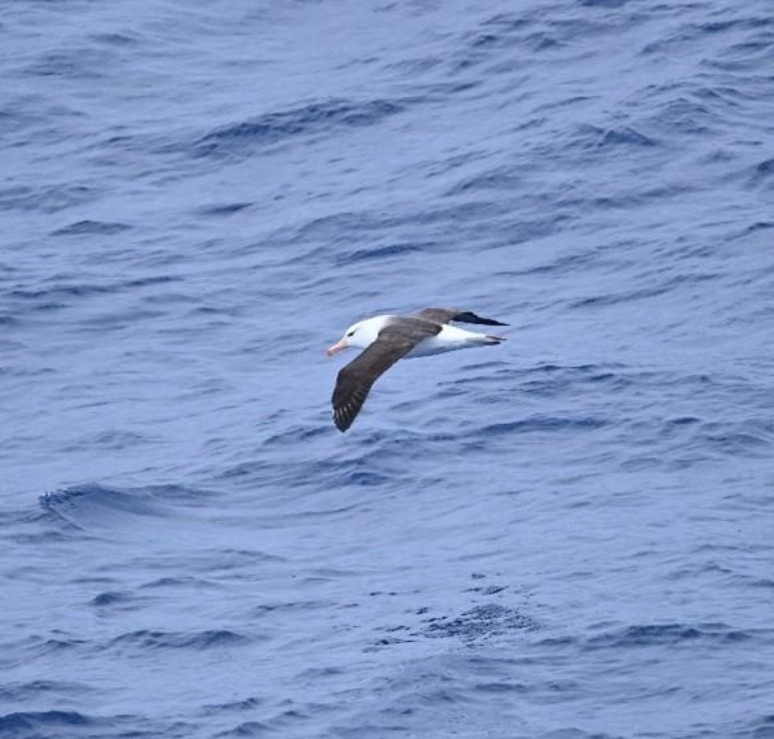 OTL25-26, Day 2, Picture3.jpg ©Unknown Photographer - Oceanwide Expeditions.jpg