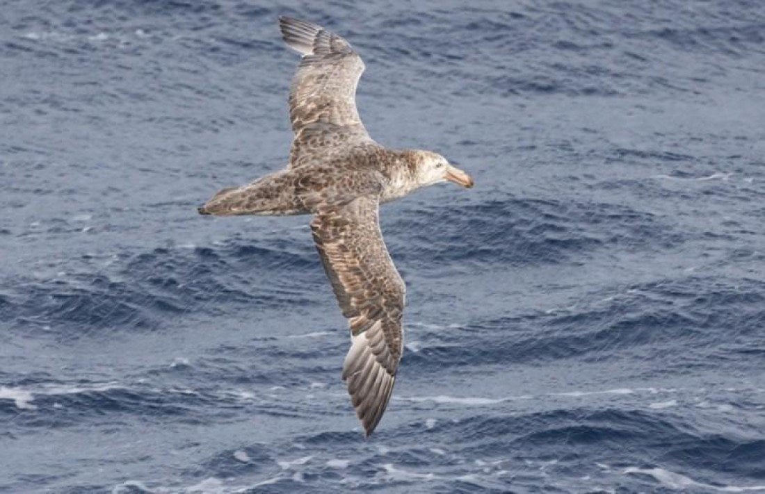 OTL25-26, Day 5, Picture14.jpg © Unknown Photographer - Oceanwide Expeditions.jpg