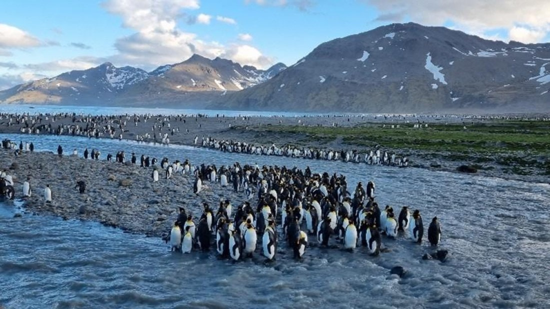 OTL25-26, Day 8, Picture23.jpg © Unknown Photographer - Oceanwide Expeditions.jpg