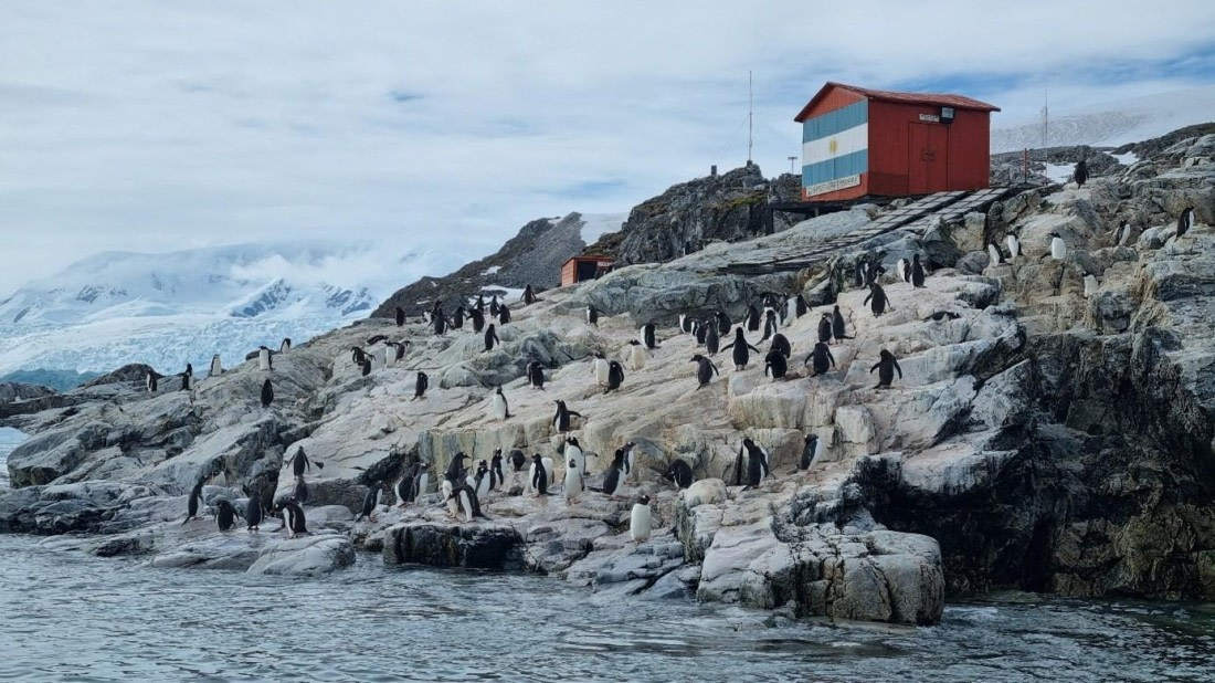 OTL25-26, Day 16, Picture49.jpg © Unknown Photographer - Oceanwide Expeditions.jpg