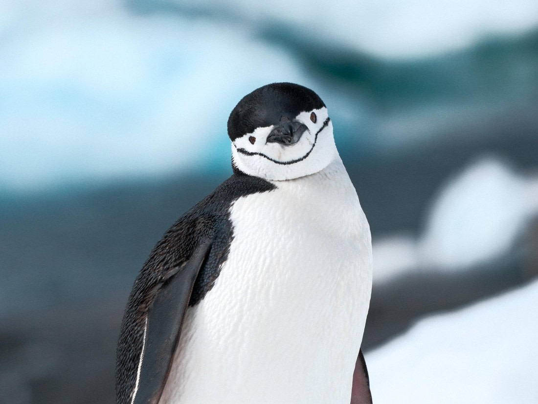 Main Character Moment