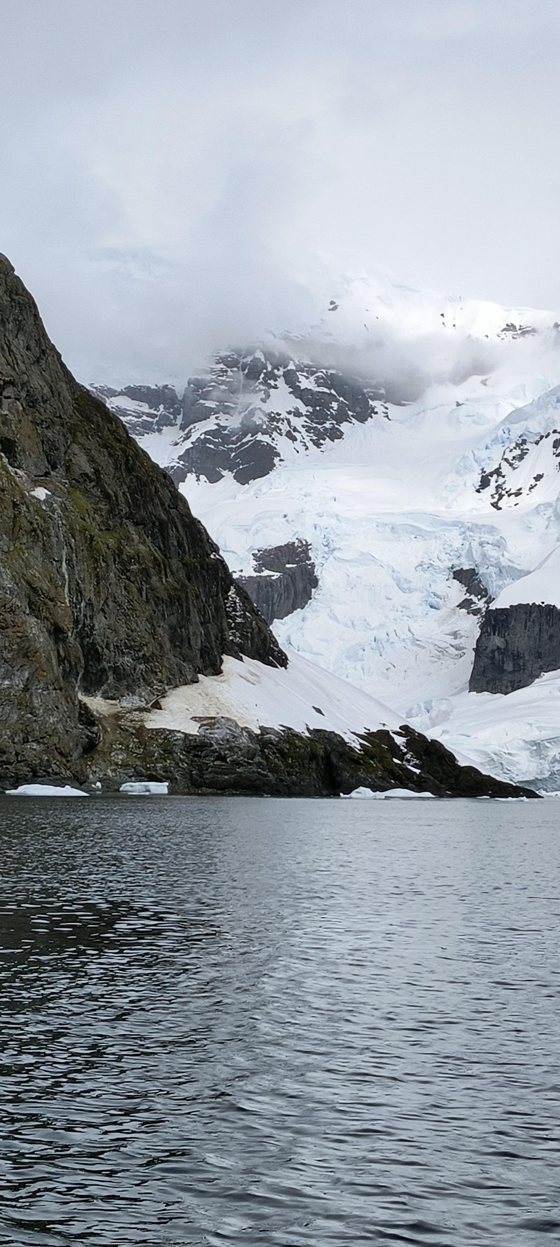 Cloudy with a Chance of Penguins