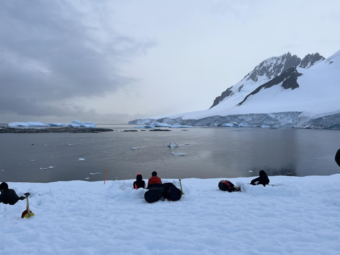 PLA25-26, Day 4, IMG_5375.JPG © Unknown Photographer - Oceanwide Expeditions.JPG