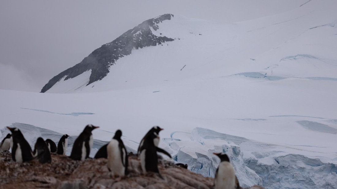 PLA25-26, Day 5, 4Q9A3140.jpg © Katlyn Taylor - Oceanwide Expeditions.jpg