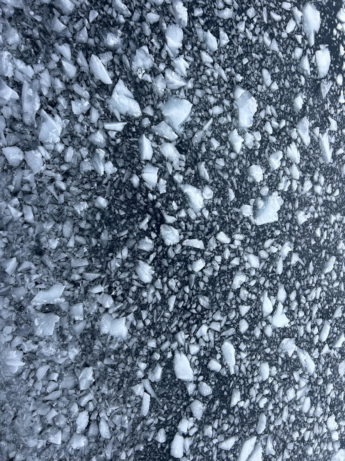 PLA25-26, Day 5, IMG_0291 2.jpeg © Katlyn Taylor - Oceanwide Expeditions.jpeg