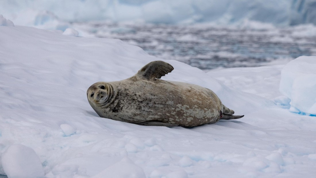 PLA25-26, Day 6, 4Q9A3368.jpg © Katlyn Taylor - Oceanwide Expeditions.jpg