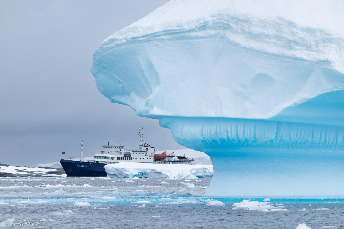 PLA25-26, Day 6, FZ1A5589.jpg © Katlyn Taylor - Oceanwide Expeditions.jpg