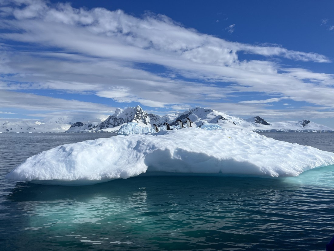 PLA25-26, Day 7, IMG_5446.JPG © Katlyn Taylor - Oceanwide Expeditions.JPG