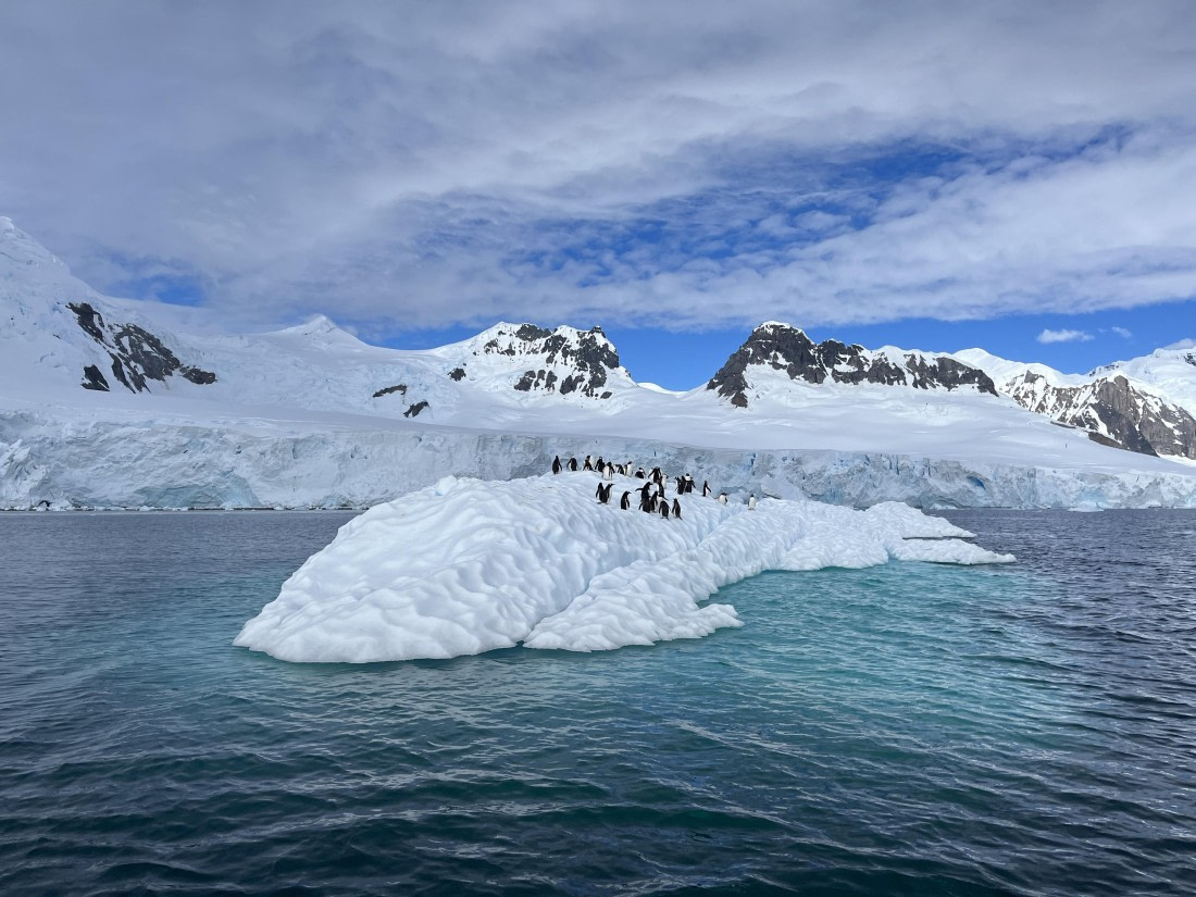 PLA25-26, Day 7, IMG_5469.JPG © Katlyn Taylor - Oceanwide Expeditions.JPG