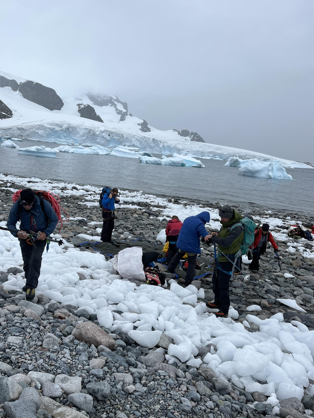 PLA25-26, Day 8, IMG_3651.jpeg © Chris Forrest - Oceanwide Expeditions.jpeg