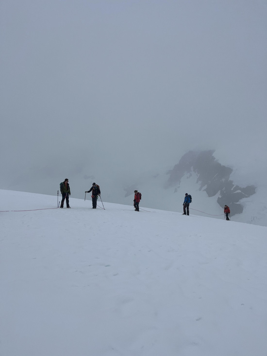 PLA25-26, Day 8, IMG_3657 2.jpeg © Chris Forrest - Oceanwide Expeditions.jpeg