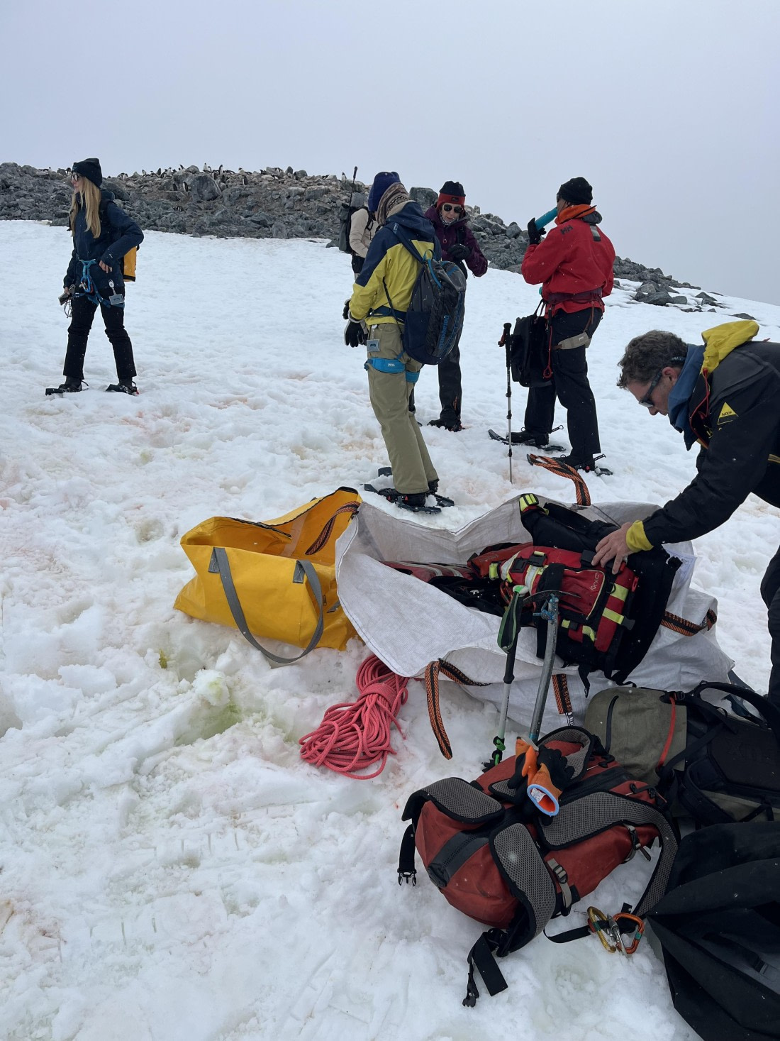 PLA25-26, Day 8, IMG_3671.jpeg © Chris Forrest - Oceanwide Expeditions.jpeg