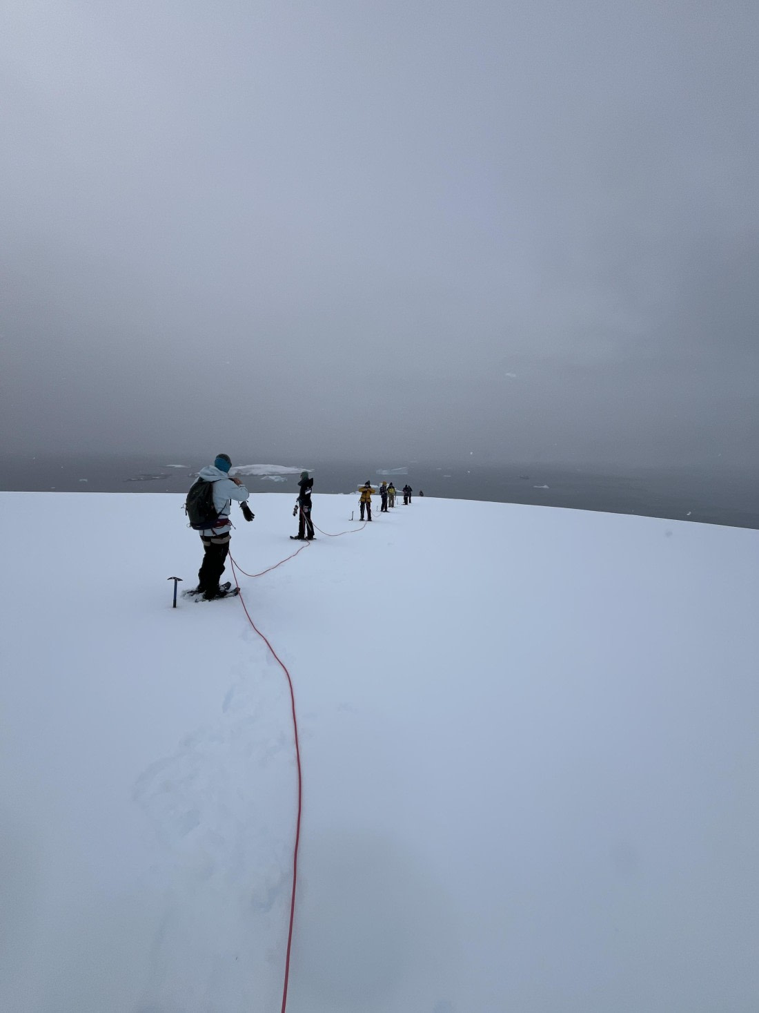 PLA25-26, Day 8, IMG_3673.jpeg © Chris Forrest - Oceanwide Expeditions.jpeg