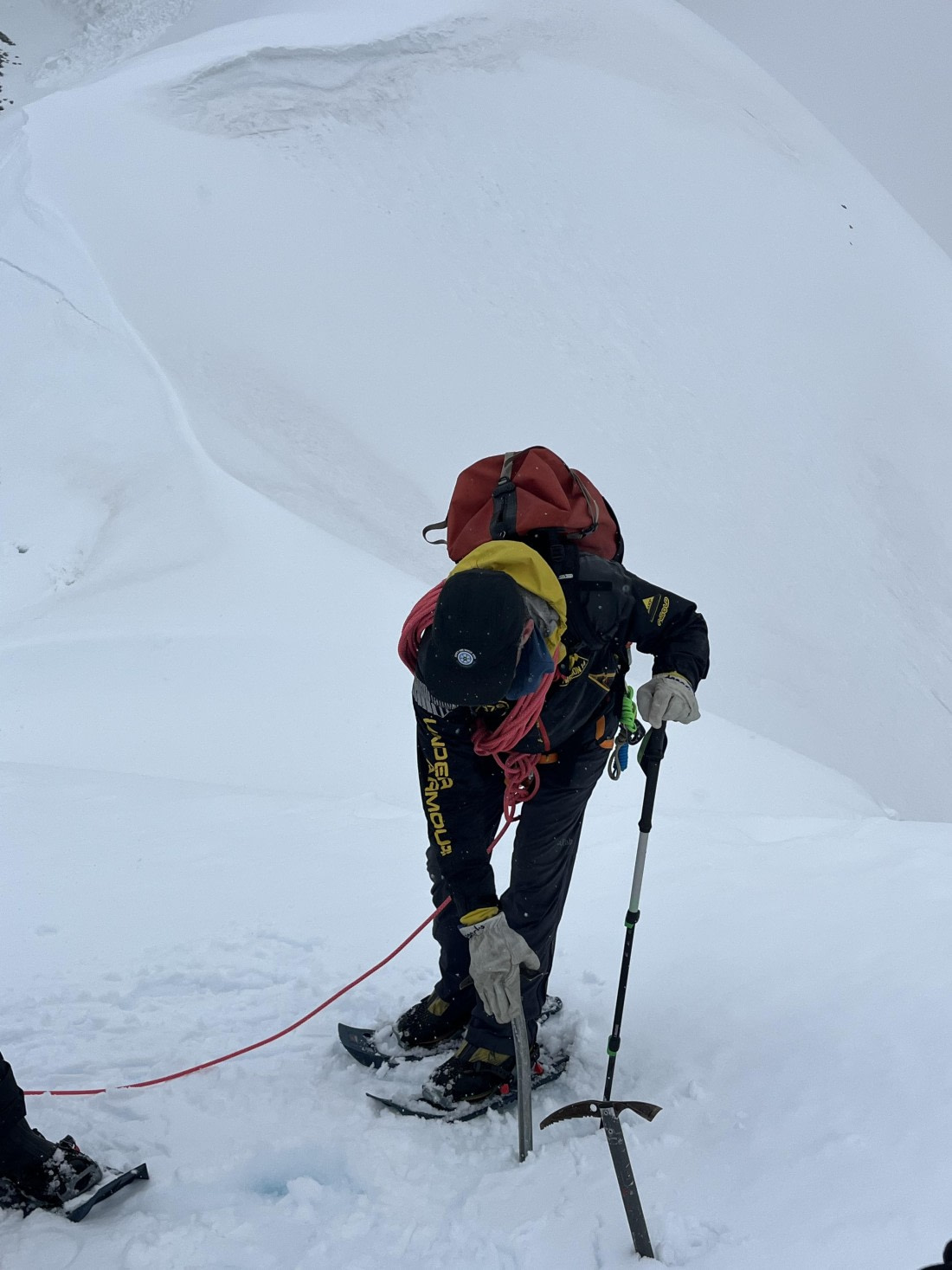 PLA25-26, Day 8, IMG_3677.jpeg © Chris Forrest - Oceanwide Expeditions.jpeg