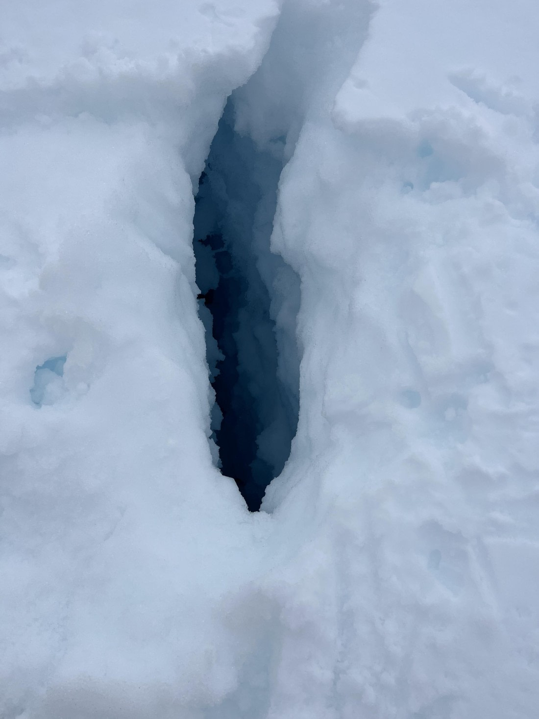 PLA25-26, Day 8, IMG_3695.jpeg © Chris Forrest - Oceanwide Expeditions.jpeg