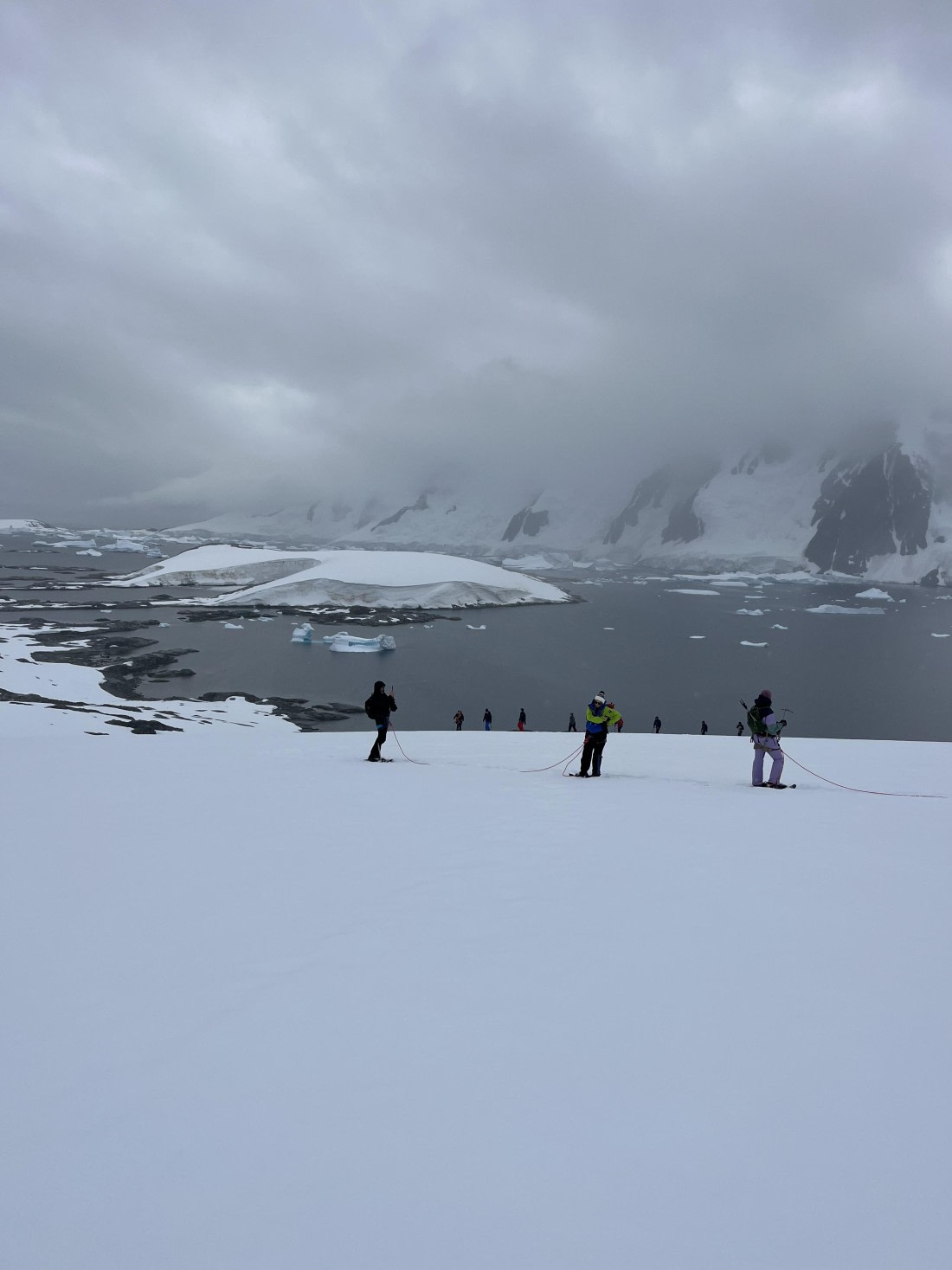 PLA25-26, Day 8, IMG_3728.jpeg © Chris Forrest - Oceanwide Expeditions.jpeg